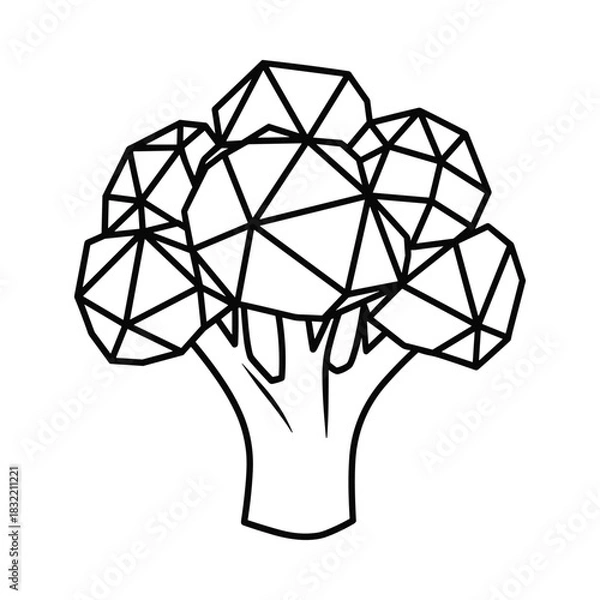 Fototapeta Stylized geometric line art illustration of a fresh broccoli head with a white background