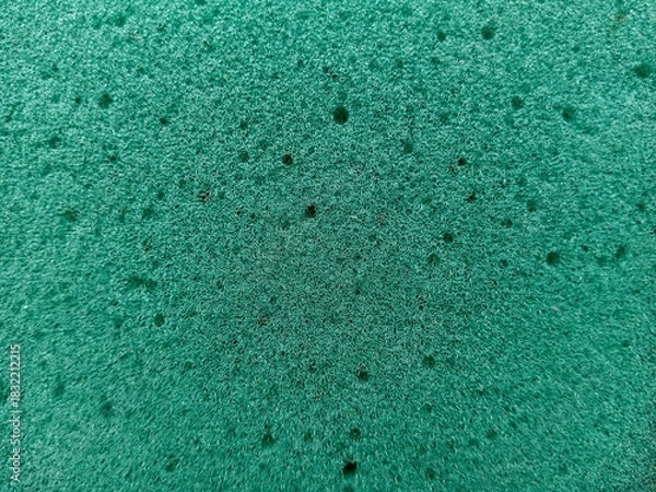 Obraz Vibrant green porous surface texture