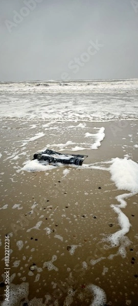 Obraz Angeschwemmter Teppich in Jütland