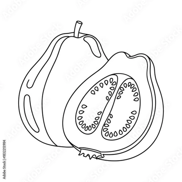 Obraz Black and white line drawing of a whole quince fruit and a half quince showing seeds and pulp