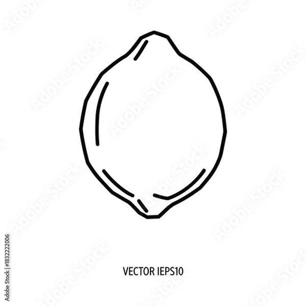 Fototapeta Simple hand drawn outline of a single lemon on a white background