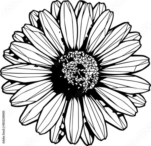 Obraz Elegant sunflower blossom illustration for creative designs and springtime projects, originally a scalable vector graphic, versatile and refined