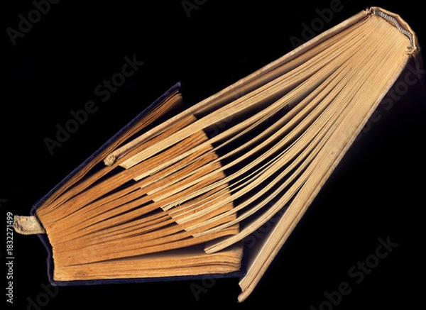 Obraz Two books bound together by sheets