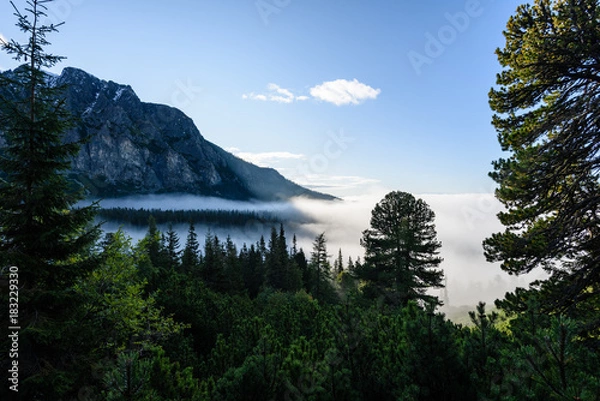 Fototapeta mountain tops in  autumn covered in mist or clouds in sunny day