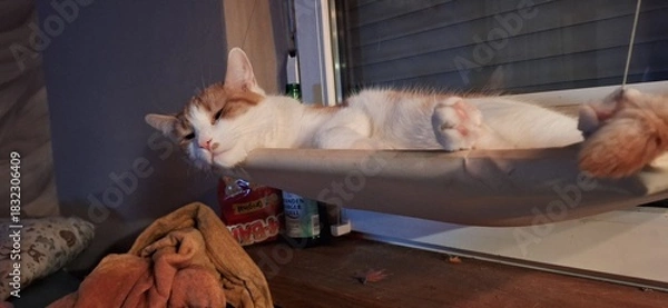 Obraz man sleeping on a sofa