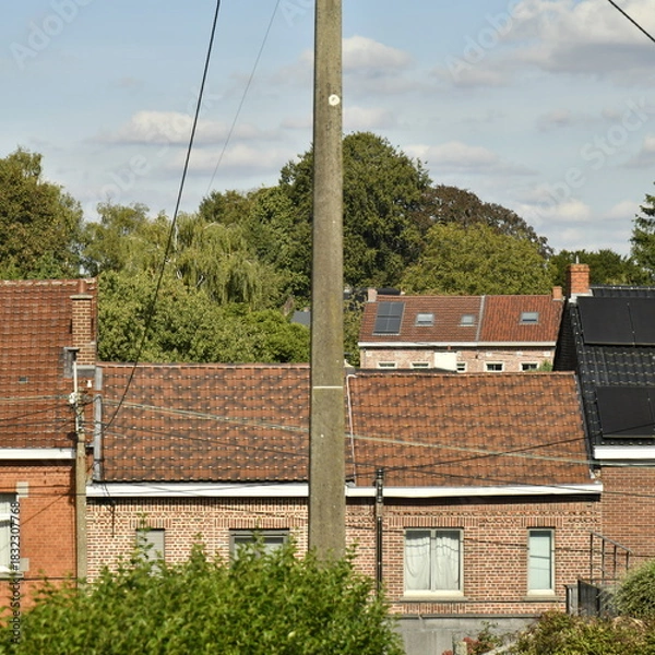 Fototapeta Toits des maisons traditionnelles devant un bois à Écaussinnes-Lalaing (Soignies)