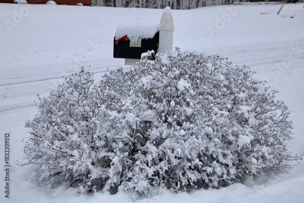 Obraz Mailbox in snow 