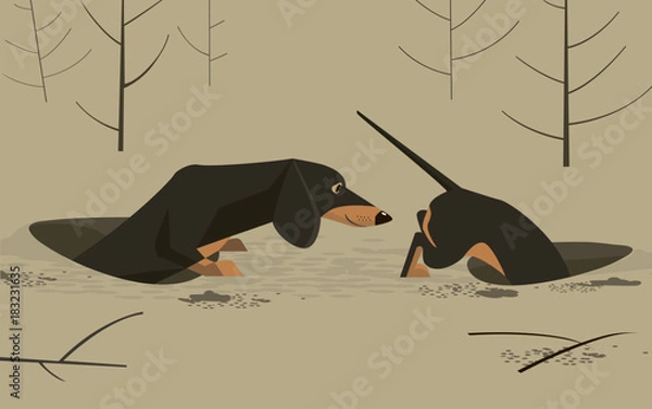 Obraz Dachshund in the hole