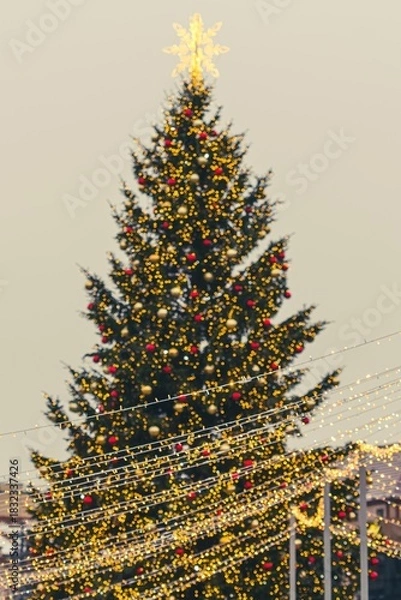 Fototapeta A large outdoor Christmas tree in Vilnius, decorated with warm white lights and ornaments, topped with a glowing star, standing in a festive setting with strings of lights in the foreground