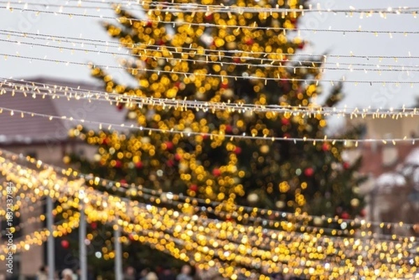 Fototapeta A large outdoor Christmas tree in Vilnius, decorated with warm white lights and ornaments, standing in a festive setting with strings of lights in the foreground