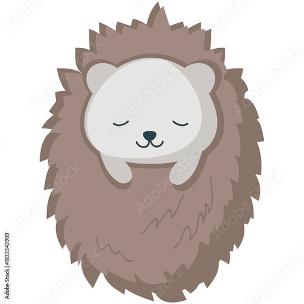 Obraz Hedgehog vector. Cartoon animal sleep icon. Cute forest character illustration. Sleepy prickly creature isolated on white background