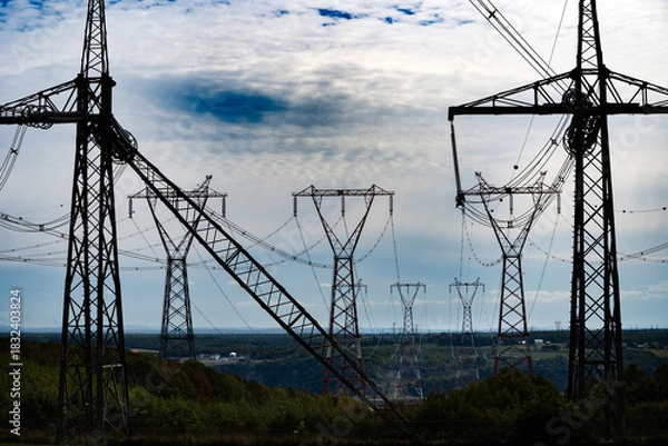 Obraz Electric pylons over a rural region