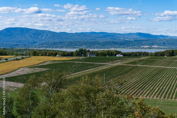 Obraz Beautiful Saint Anne mountain view from the Orleans island
