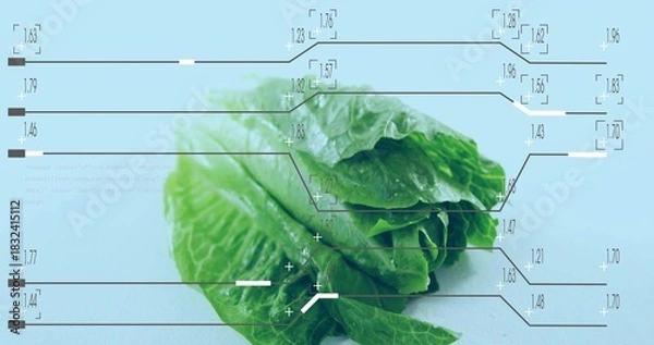 Fototapeta Displaying cluster of green lettuce leaves on pale blue tabletop, showing HUD overlays and droplets