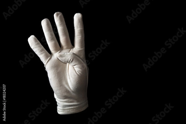 Fototapeta Sign language