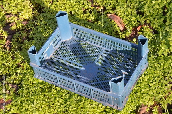 Obraz Empty plastic mesh box for fruit and vegetables