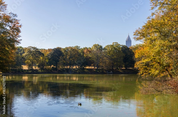 Obraz Beautiful Piedmont Park in autumn, Atlanta, Georgia