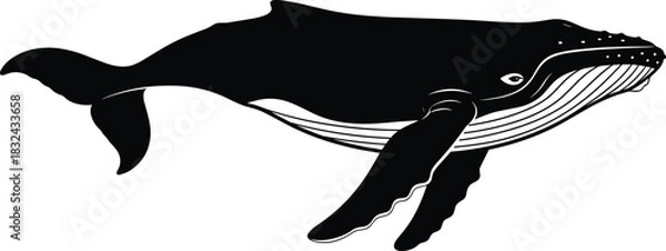 Obraz Detailed Black Silhouette Vector Illustration of a Humpback Whale Swimming in the Ocean, Ideal for Marine Life Logos, Conservation Graphics, Nature, and Aquatic Design Content
