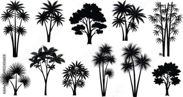 Obraz Black Silhouette Vector Set of Various Tropical Trees and Exotic Plants, Including Palm Trees and Bamboo, Ideal for Summer, Beach, Jungle, and Nature Landscape Design Graphics