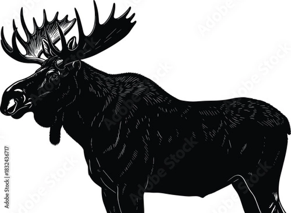 Obraz Highly Detailed Black Silhouette Vector Illustration of a Large Male Moose with Massive Antlers, Perfect for Wildlife Logos, North American Nature Graphics, and Outdoor Sport Content
