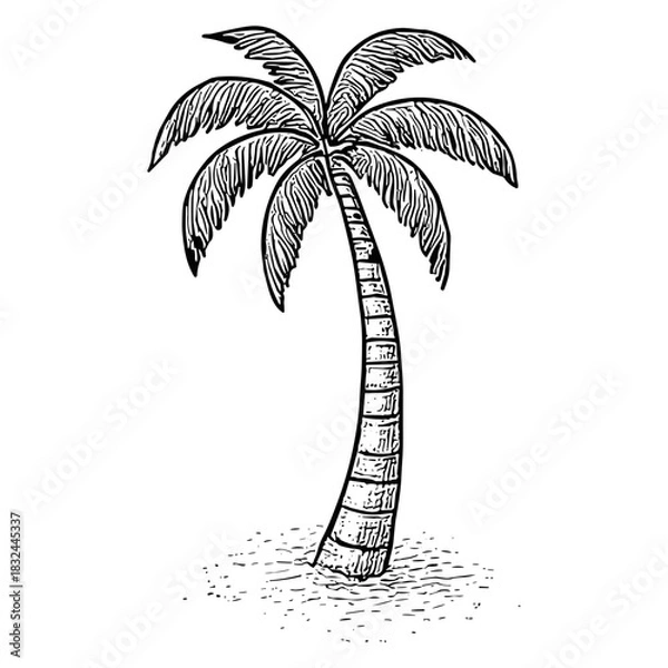 Obraz Palm Tree