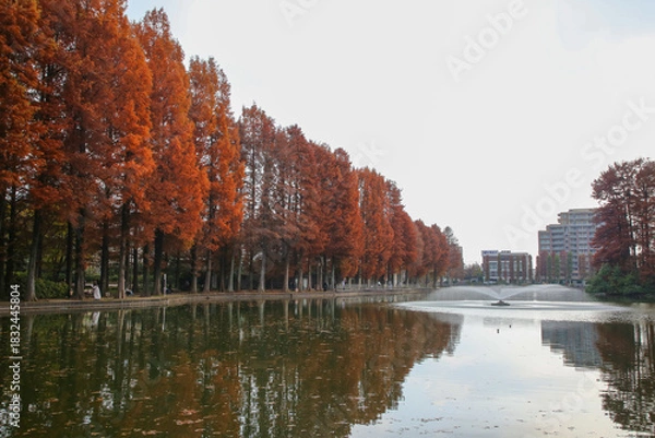 Fototapeta 公園の紅葉と池と曇り空