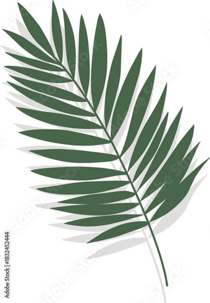 Fototapeta Palm Leaf Illustration 