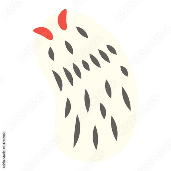 Obraz オトメウミウシ