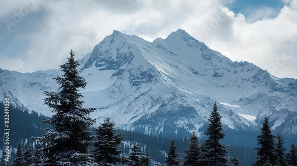 Fototapeta Snowy Mountain Peaks and Evergreen Trees against a Cloudy Sky in Winter