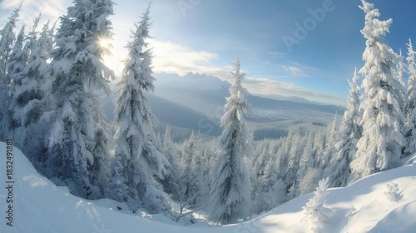 Fototapeta Winter Wonderland Snow-covered Trees in a Serene Landscape of Winter in the Mountains