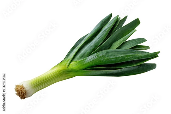 Fototapeta Fresh green leek vegetable with white base and fibrous roots on black food, Isolated On White Background, Png Transparent
