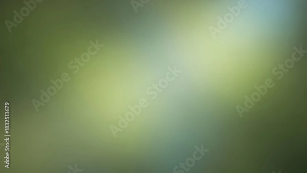 Obraz Abstract lush green gradient background smooth bokeh light texture