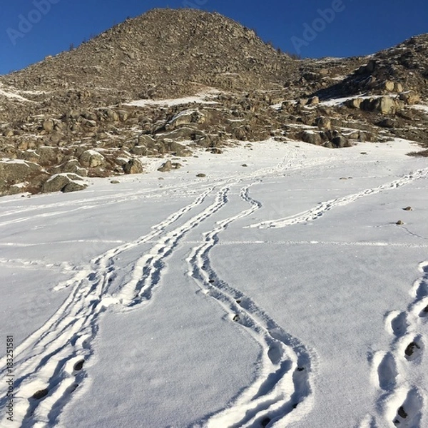 Obraz тропы на снегу, уходящие в горы