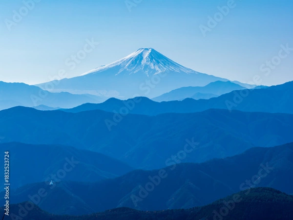 Fototapeta 鷹ノ巣山から望む富士山