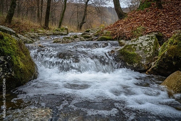 Fototapeta Forest stream cascading over rocks