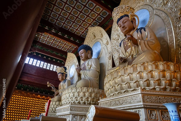 Obraz buddy statue in china