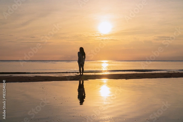 Fototapeta Silhouette Female Traveler Sunset Beach Scenic View