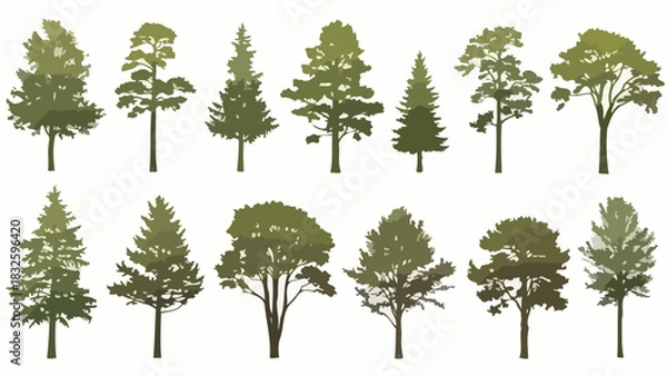 Fototapeta Diverse Silhouette Set of Trees Spruce, Pine, and Oak Varieties in Various Forms