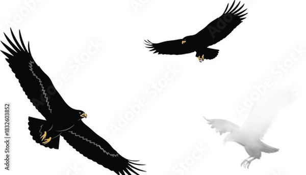 Obraz Adobe Illustrator Artwork