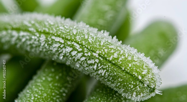 Obraz Close-up of Frozen Green Bean with Delicate Ice Crystals Formation