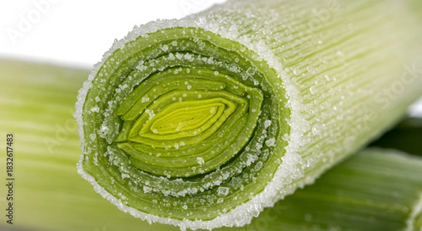 Obraz Close-up of a Frozen Leeks Cross-Section with Ice Crystals