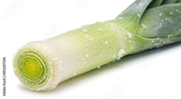 Obraz Fresh Leek Covered in Ice Crystals, Showing Concentric Rings on a White Background