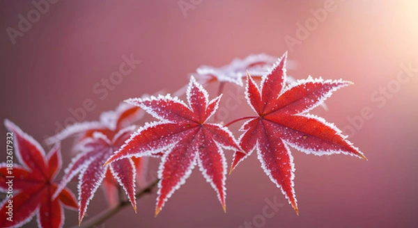 Obraz Frosted Autumn Leaves in Soft Light