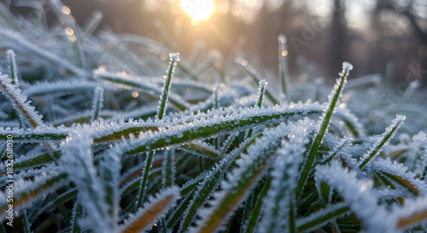 Obraz Frosty Morning Dew on Grass Blades Close Up