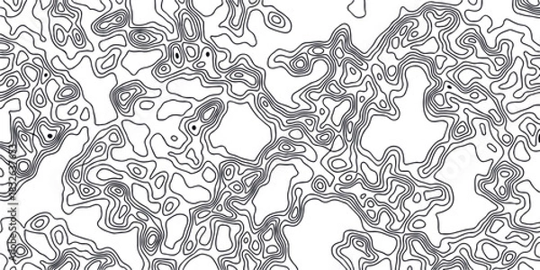 Obraz Abstract black and white ink drawing with organic flowing lines and shapes