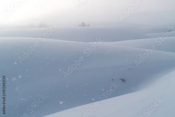 Fototapeta Embrace the serene beauty of a snowy winter landscape featuring soft rolling hills and gentle snowfall, perfect for evoking peace, tranquility, and winter wonder