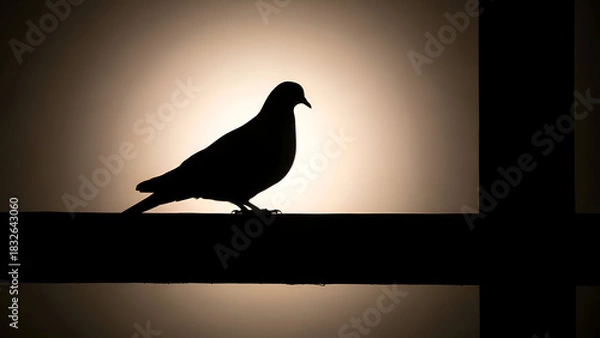 Obraz Silhouette of a pigeon perched on a wooden beam against a softly lit wall, creating a minimalist and contemplative scene.
