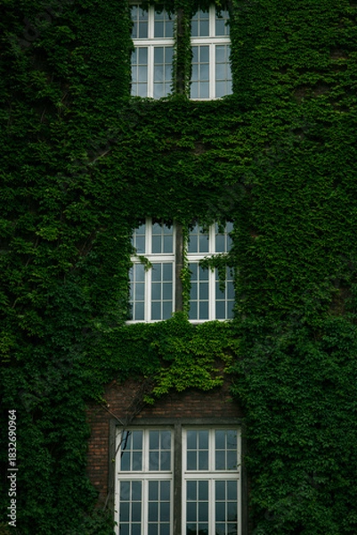 Fototapeta window in a brick wall