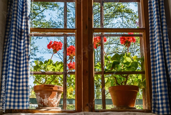 Fototapeta Bright sunny day with potted plants by the window in a cozy room surrounded by nature in the mountains