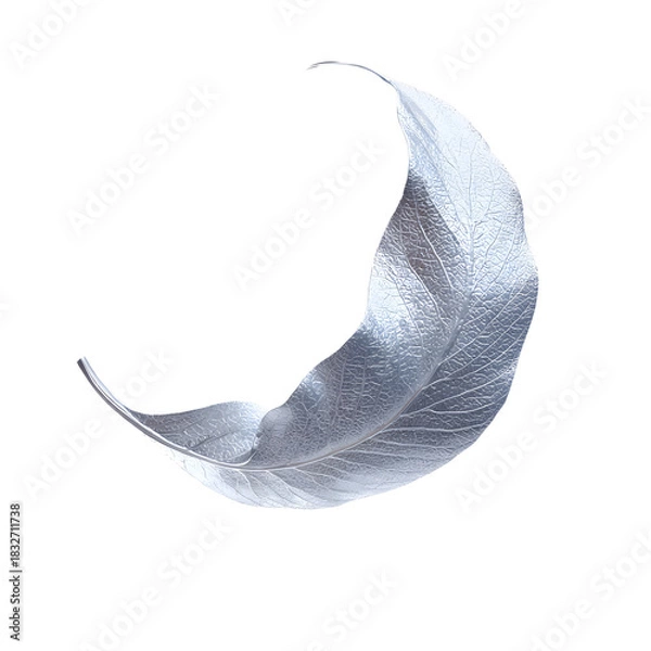 Obraz Silver Metallic Leaf Curving into Crescent Moon